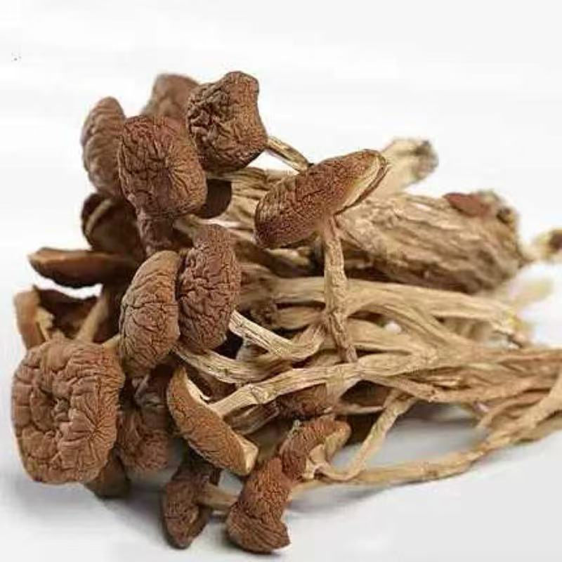 长沙县茶树菇（剪根）500g