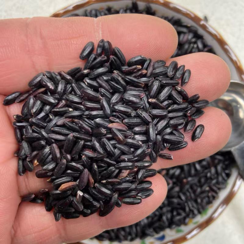 长沙县黑米5KG