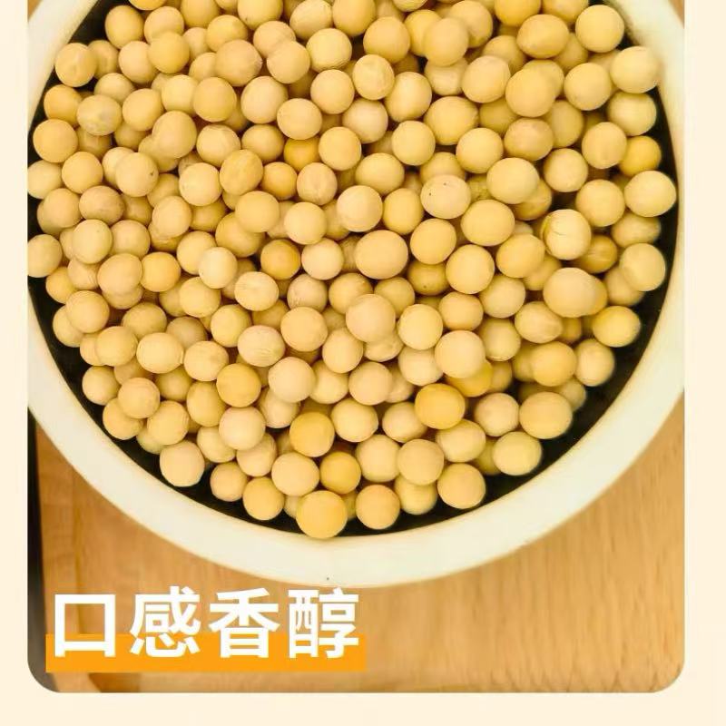 长沙县黄豆5KG