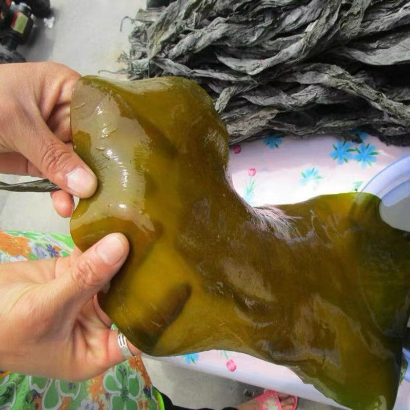 长沙县干海带5斤