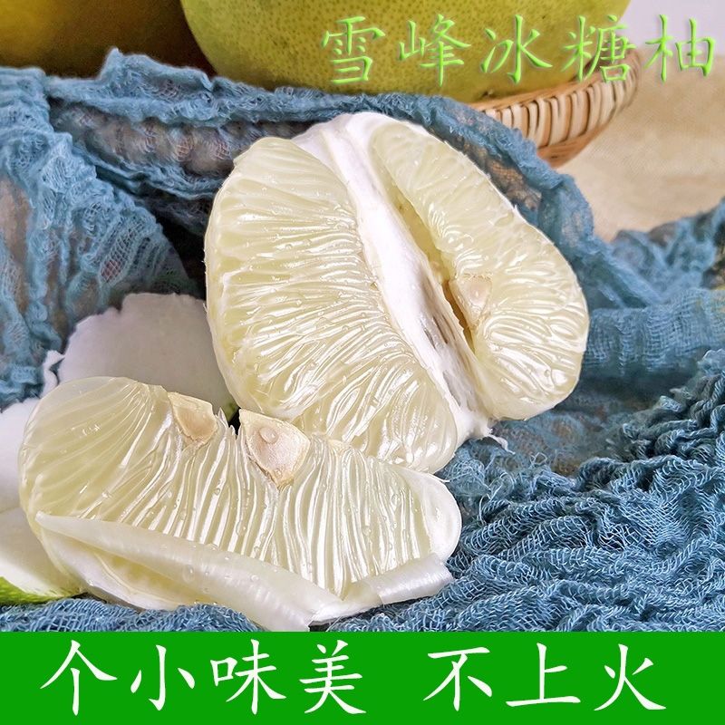 安江雪峰冰糖柚20 斤大果