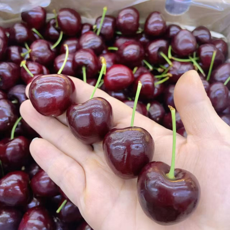 长沙县3J车厘子5斤