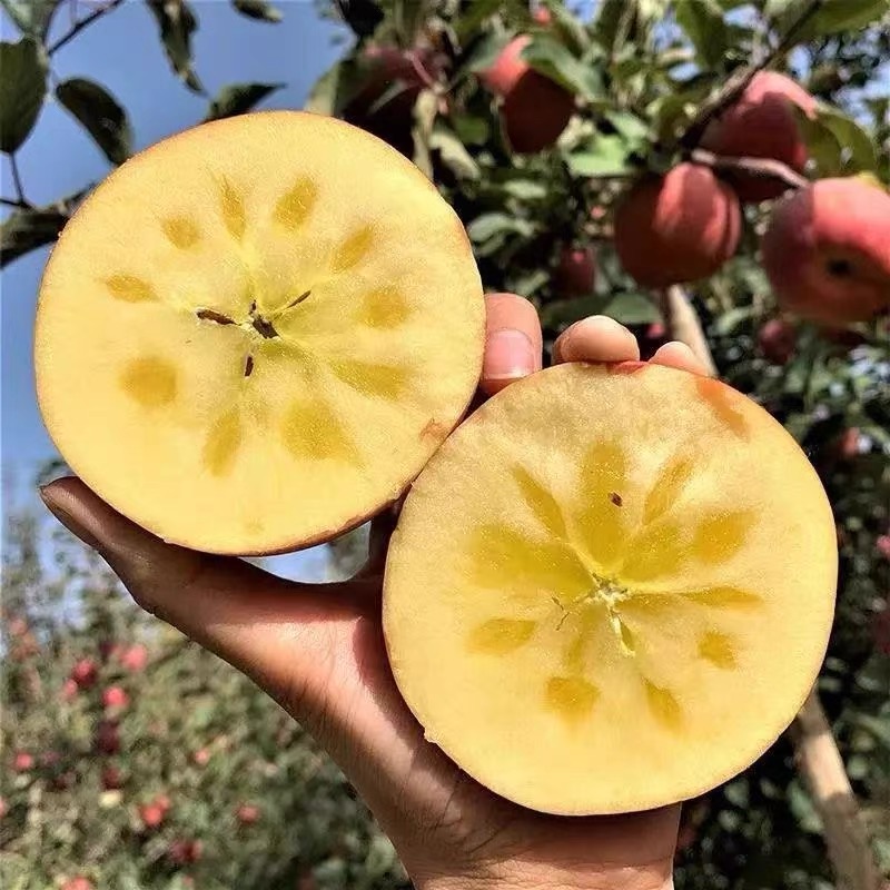 长沙县冰糖心苹果5斤