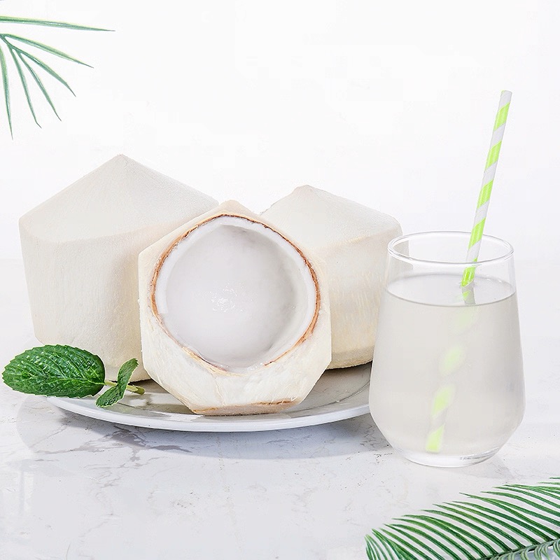 长沙县椰子9个/箱