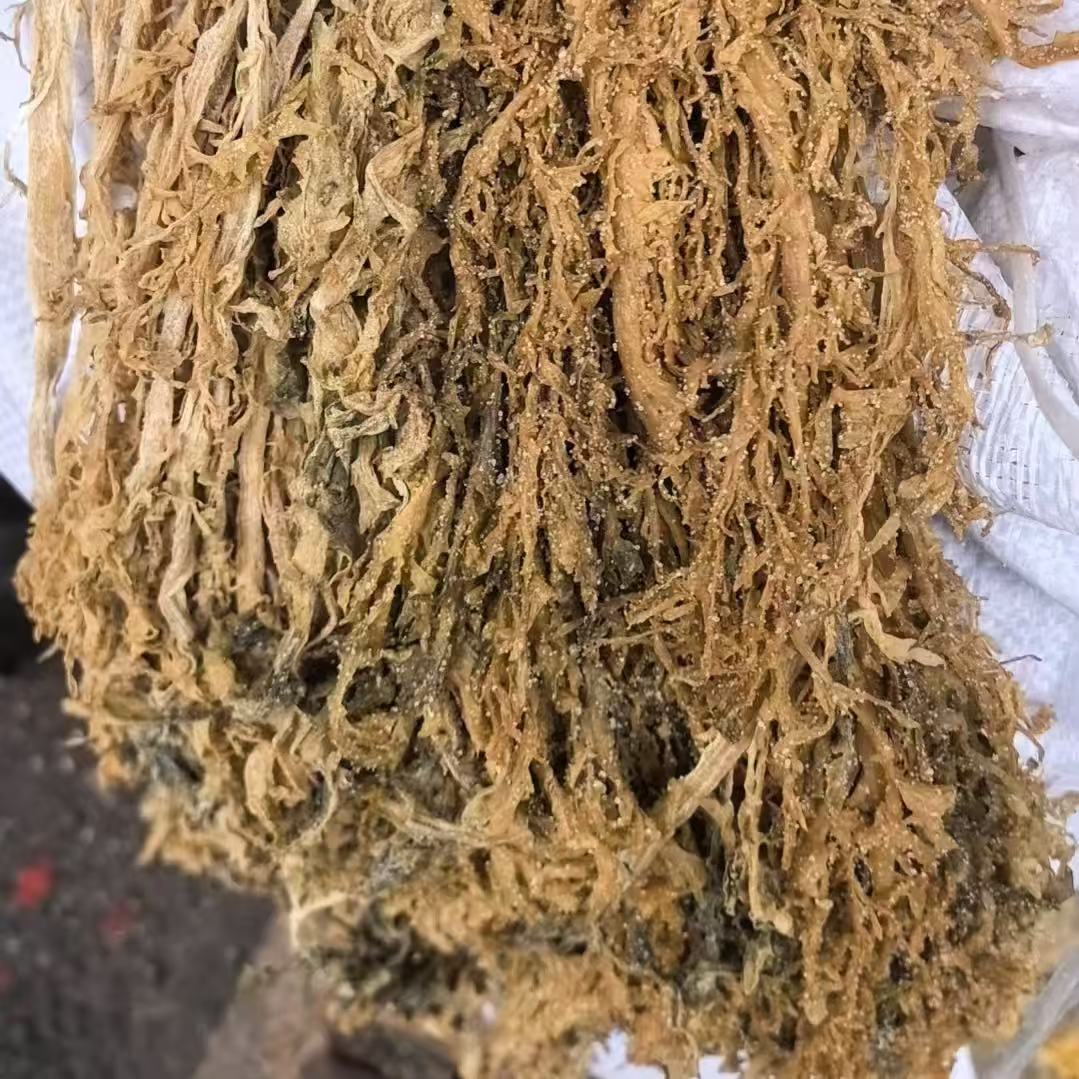 湖南常德澧县土特产 凤尾盐菜 大兜菜叶子腌菜 500克