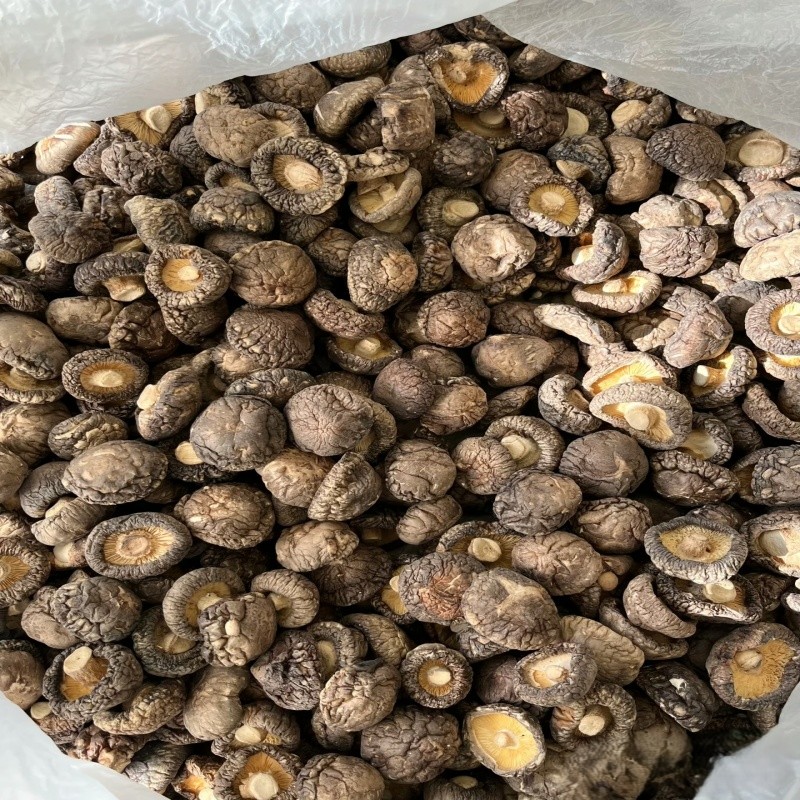 福建古田/500克一斤/香菇干
