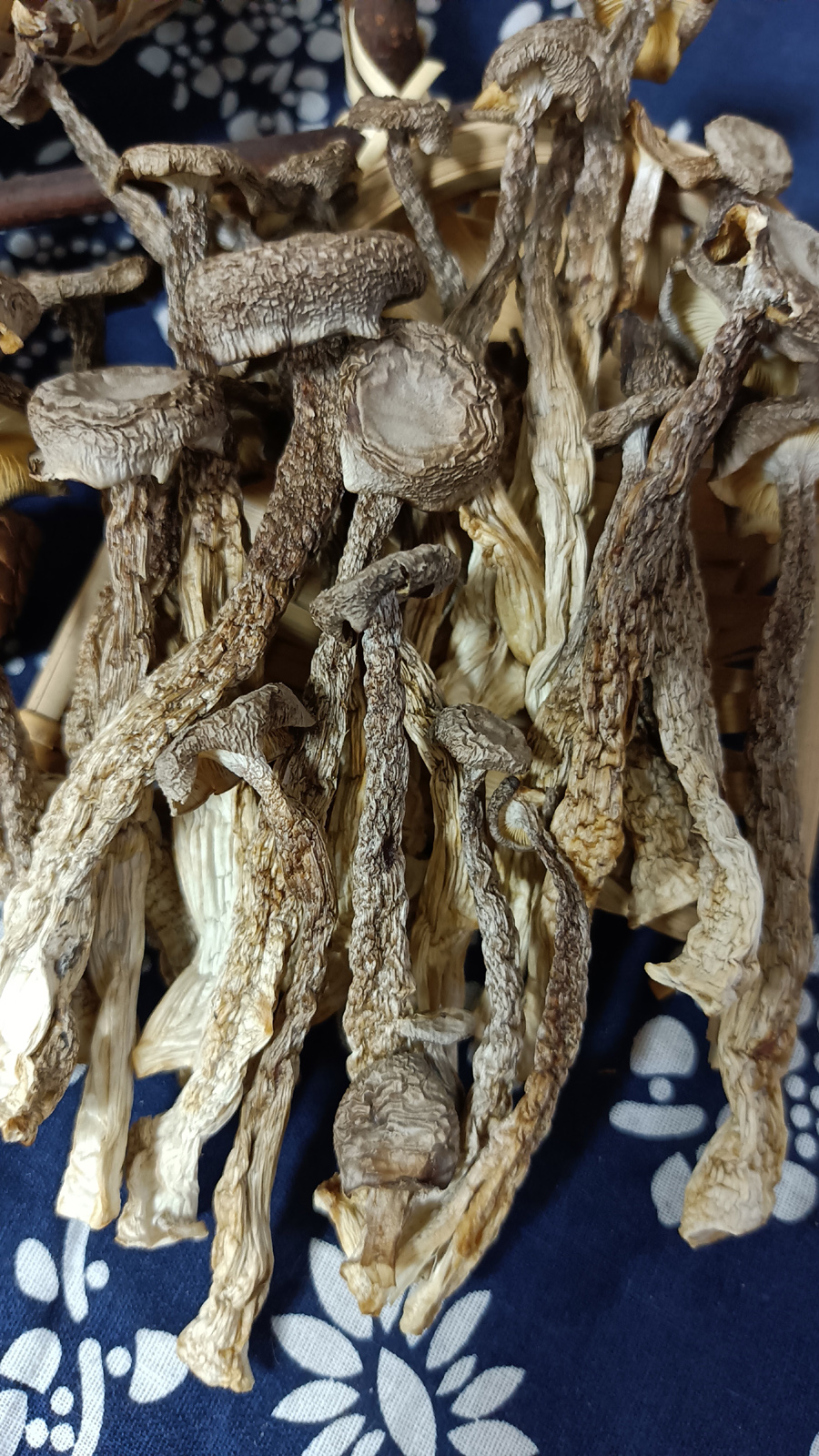 湖南十八洞鹿茸菇干货鹿茸菌特级煲汤食材食用菌菇野蘑菇香菇250g