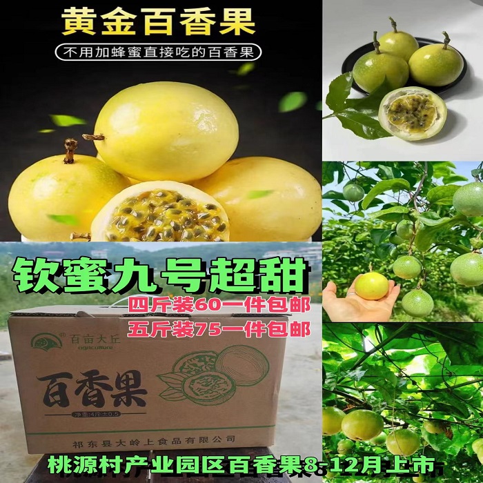 祁东县百亩大丘钦蜜9号黄金百香果2kg/2.5kg