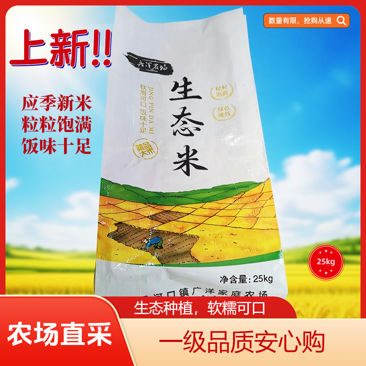 湘潭县 广洋农场 生态大米 25kg