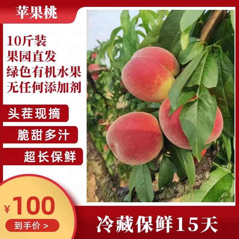 苹果桃 香脆可口 岳阳楼区康王乡白湖村