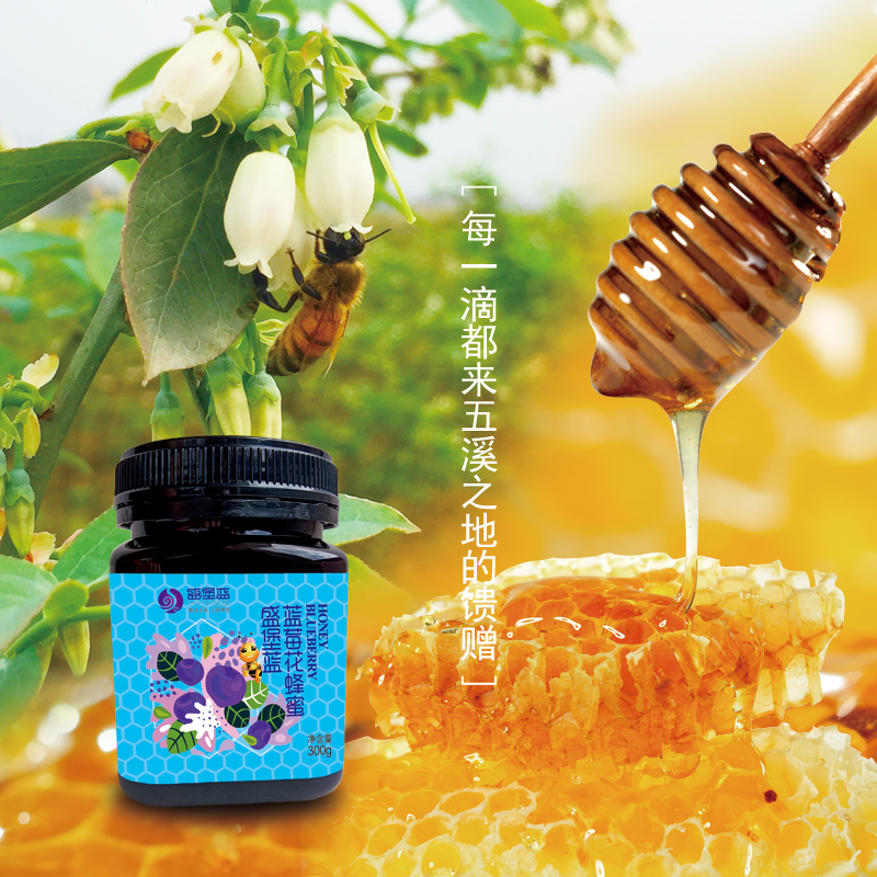 湖南怀化盛堡蓝蓝莓蜂蜜300ml