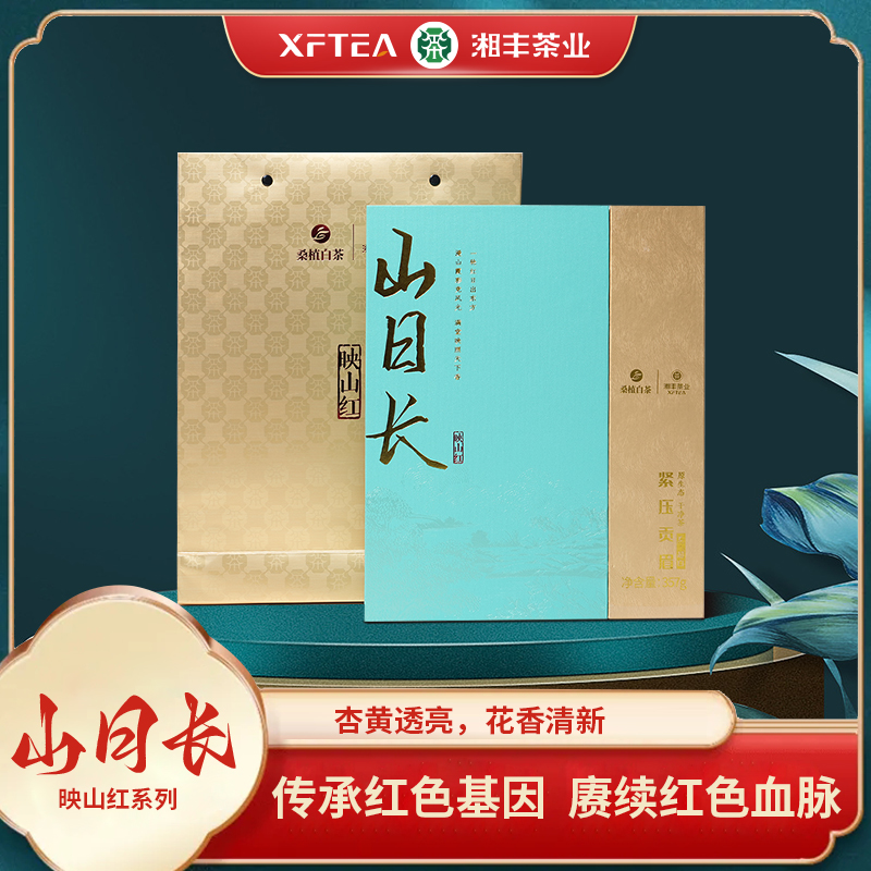 桑植县 桑植白茶 山日长