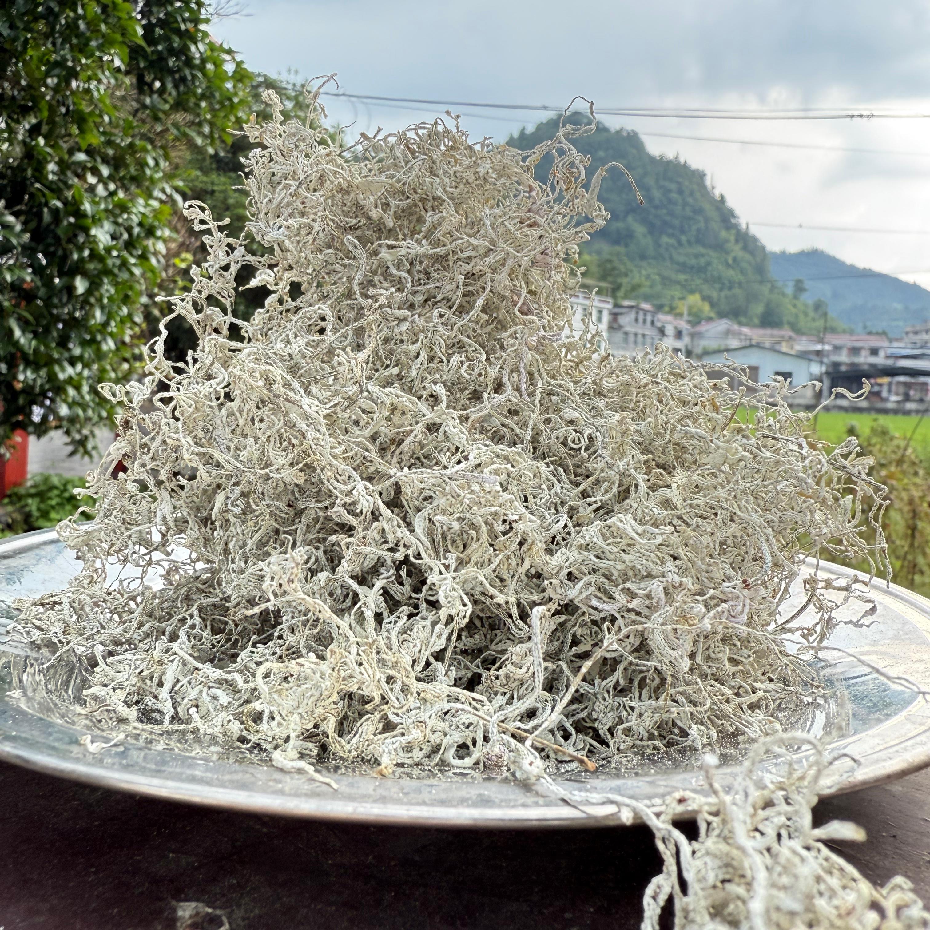 凤凰县东子山紫薇雪茶125g*2