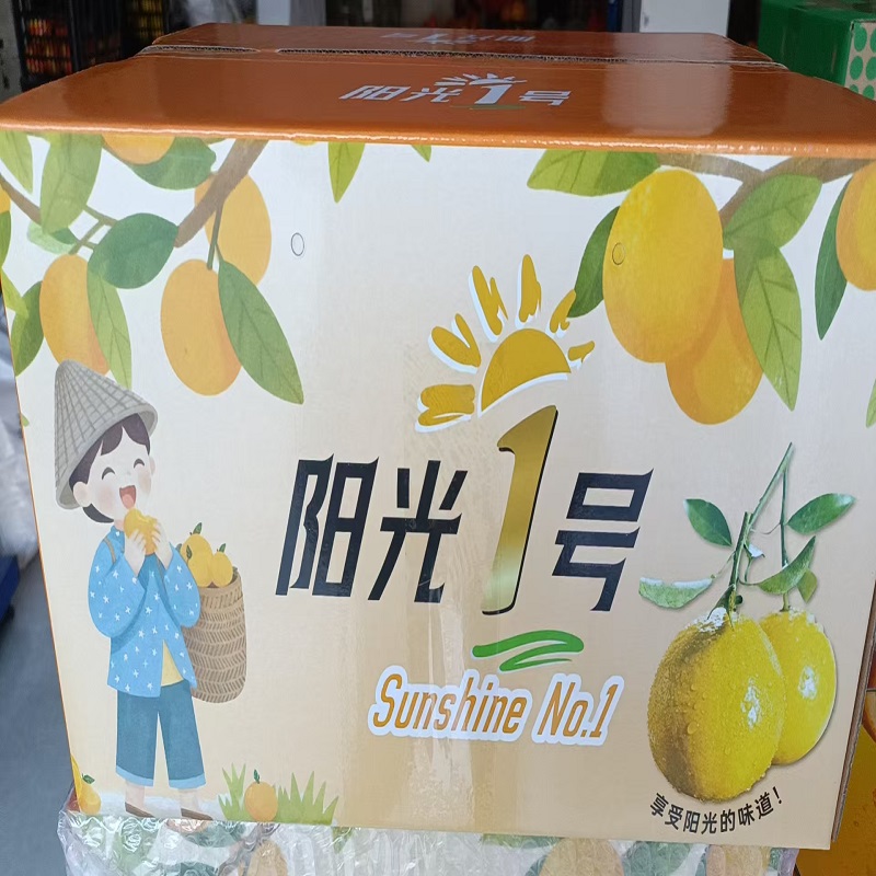 安江镇（湖南省卫生健康委） 黔阳阳光一号 带箱5KG