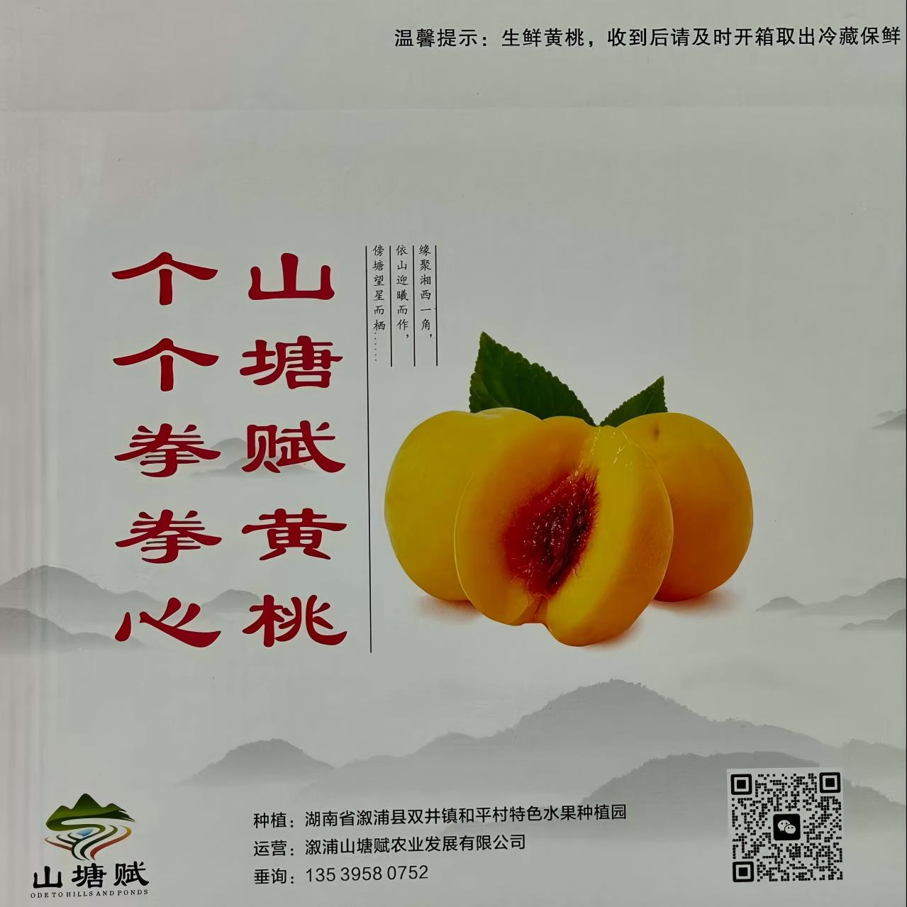 溆浦县山塘赋黄桃（5kg）