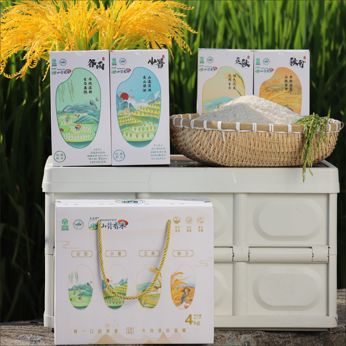 湖南怀化奥谱隆山背香米4KG精装礼盒