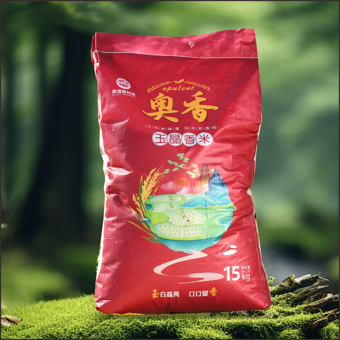 湖南怀化奥香玉晶香米15kg