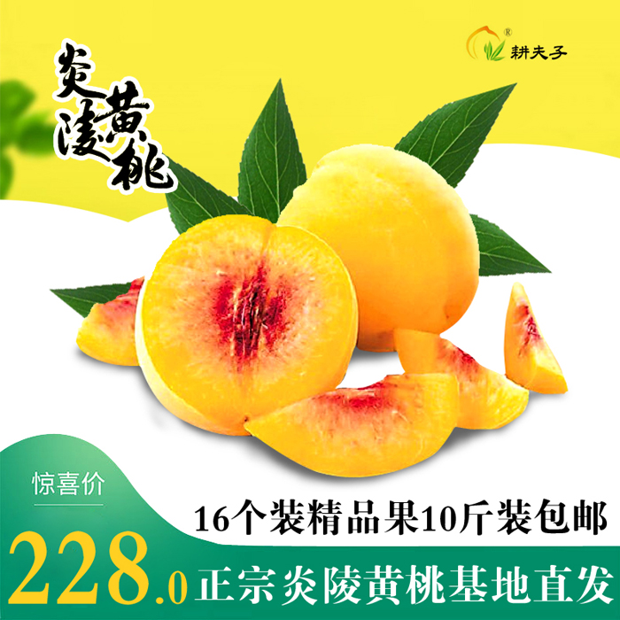 炎陵正宗锦绣黄桃果园基地直发精品16个精品装包顺丰地标特产水果