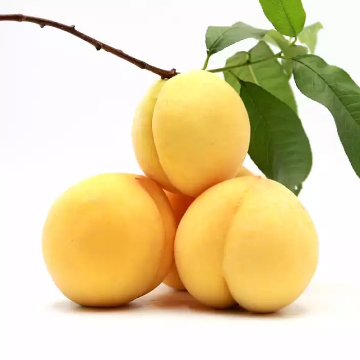  炎陵县 炎陵黄桃  10斤装/箱