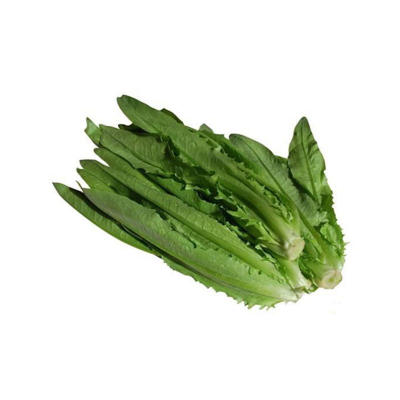 通道侗族自治县油麦菜500g